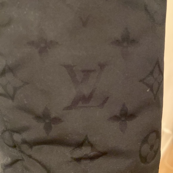 Louis Vuitton down filled winter jacket - Picture 8 of 10